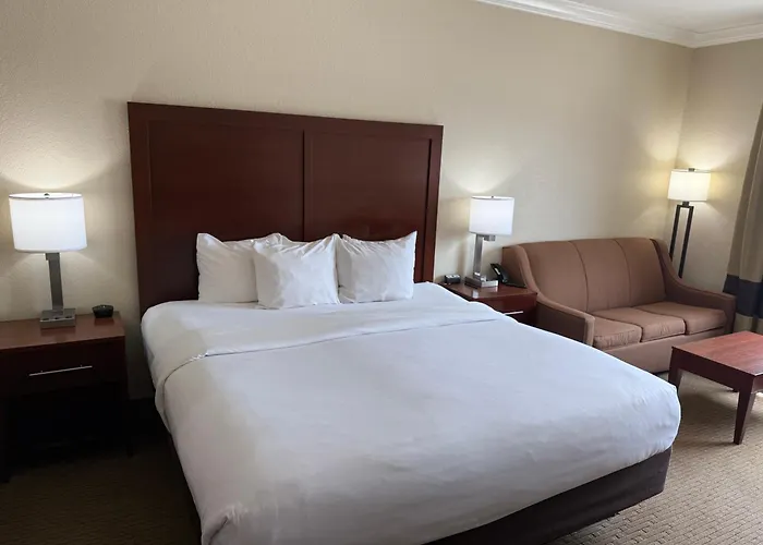 Comfort Inn Early Brownwood