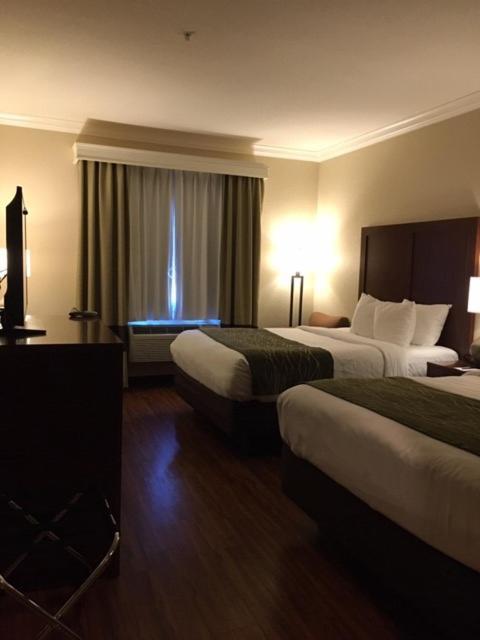 Comfort Brownwood