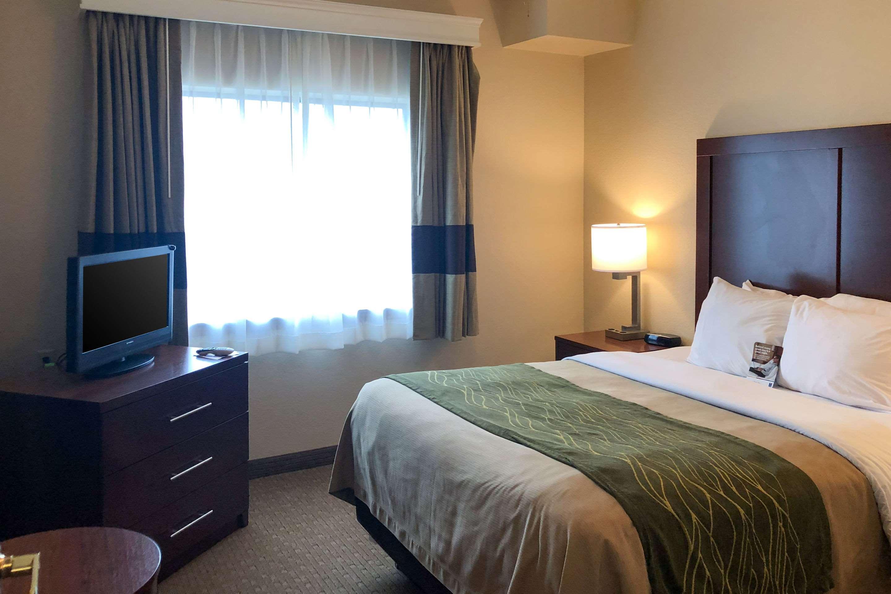 Comfort Brownwood 3* Early