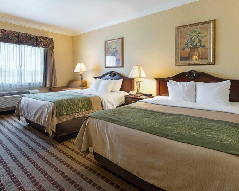 Comfort Brownwood